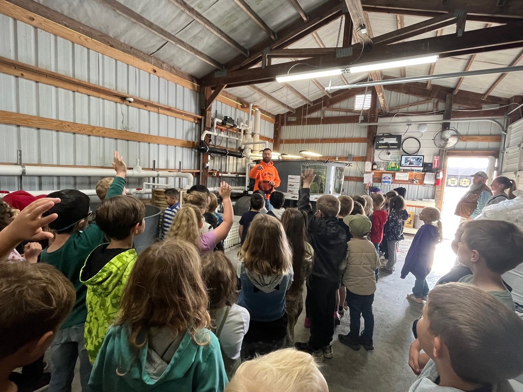Kindergartners took a tour of the fish hatchery for "F" day of our 26 day countdown. They loved all of the fish! Thank you Mr. Hoffman!