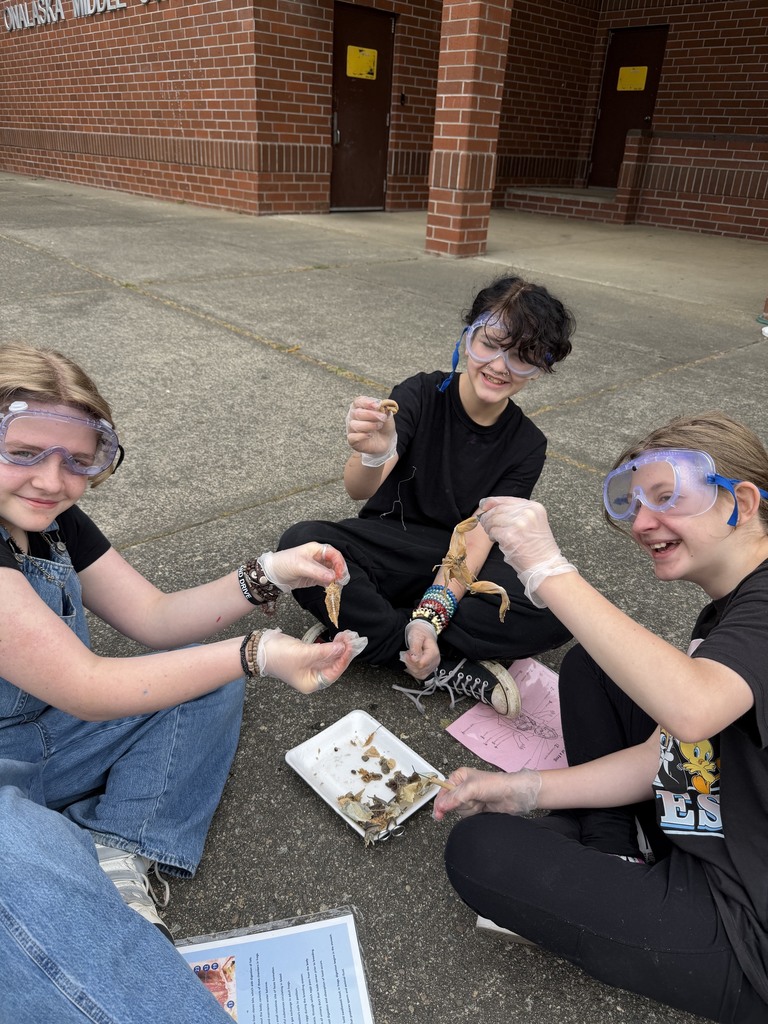 3 middle school girls said "best day ever" to dissection day in science