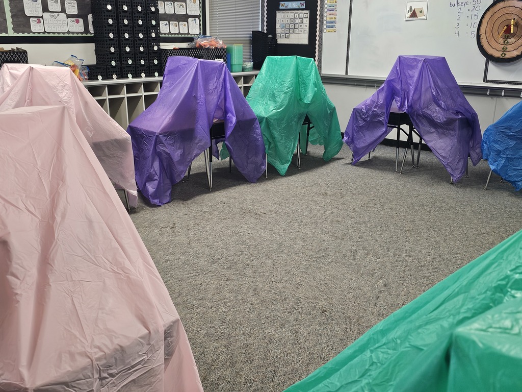 ๐๏ธ๐โจ Camp Read-A-Lot was a huge success in 2nd Grade! โจ๐๐๏ธ On Friday, our 2nd grade students enjoyed their annual Camp Read-A-Lot right in their classrooms. Students came dressed in cozy pajamas and brought along their favorite stuffed animals and blankets for a day full of learning and fun! ๐งธ๐๏ธ๐ Throughout the day, students participated in exciting camp-themed activities, including flashlight reading ๐ฆ๐, enjoying a delicious s'mores snack ๐ซ๐ฅ, and taking a math walk around the room to solve problems ๐งฎ๐ถโโ๏ธ๐ถโโ๏ธ. Thank you to Mrs. Roxanne Smith for sharing these wonderful photos from such an exciting day. We love seeing our students engaged, learning, and making special memories together! ๐ฒโบโค๏ธ #OnalaskaProud #CampReadALot #SecondGradeFun #LearningAdventure #WildcatReaders ๐๐๏ธ๐พ