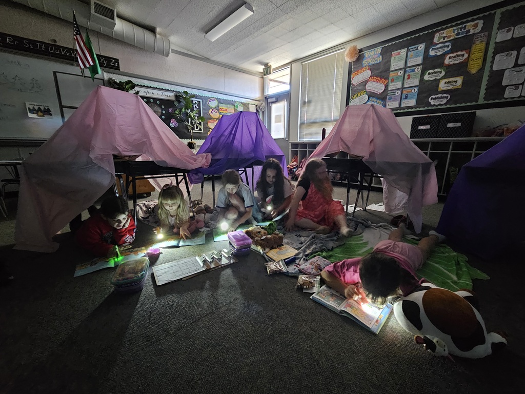 ๐๏ธ๐โจ Camp Read-A-Lot was a huge success in 2nd Grade! โจ๐๐๏ธ On Friday, our 2nd grade students enjoyed their annual Camp Read-A-Lot right in their classrooms. Students came dressed in cozy pajamas and brought along their favorite stuffed animals and blankets for a day full of learning and fun! ๐งธ๐๏ธ๐ Throughout the day, students participated in exciting camp-themed activities, including flashlight reading ๐ฆ๐, enjoying a delicious s'mores snack ๐ซ๐ฅ, and taking a math walk around the room to solve problems ๐งฎ๐ถโโ๏ธ๐ถโโ๏ธ. Thank you to Mrs. Roxanne Smith for sharing these wonderful photos from such an exciting day. We love seeing our students engaged, learning, and making special memories together! ๐ฒโบโค๏ธ #OnalaskaProud #CampReadALot #SecondGradeFun #LearningAdventure #WildcatReaders ๐๐๏ธ๐พ