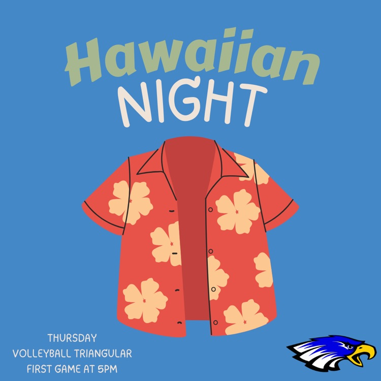 Hawaiian shirt and theme night