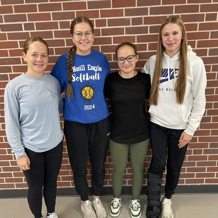 Mid-State All Conference Softball