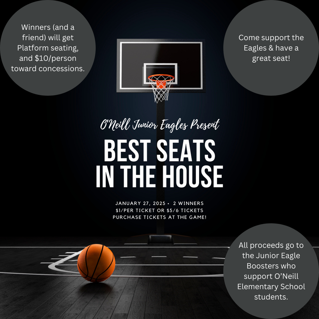 Basketball Game TIme Announcement Instagram Post (4)