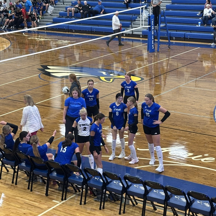 VB team