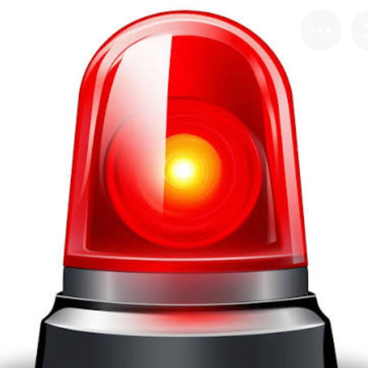 alert