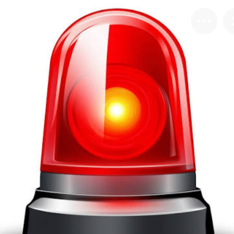 alert