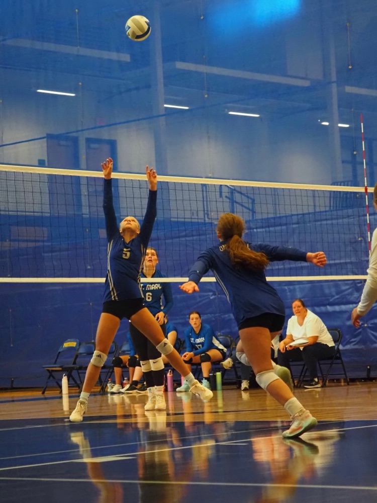 VB 