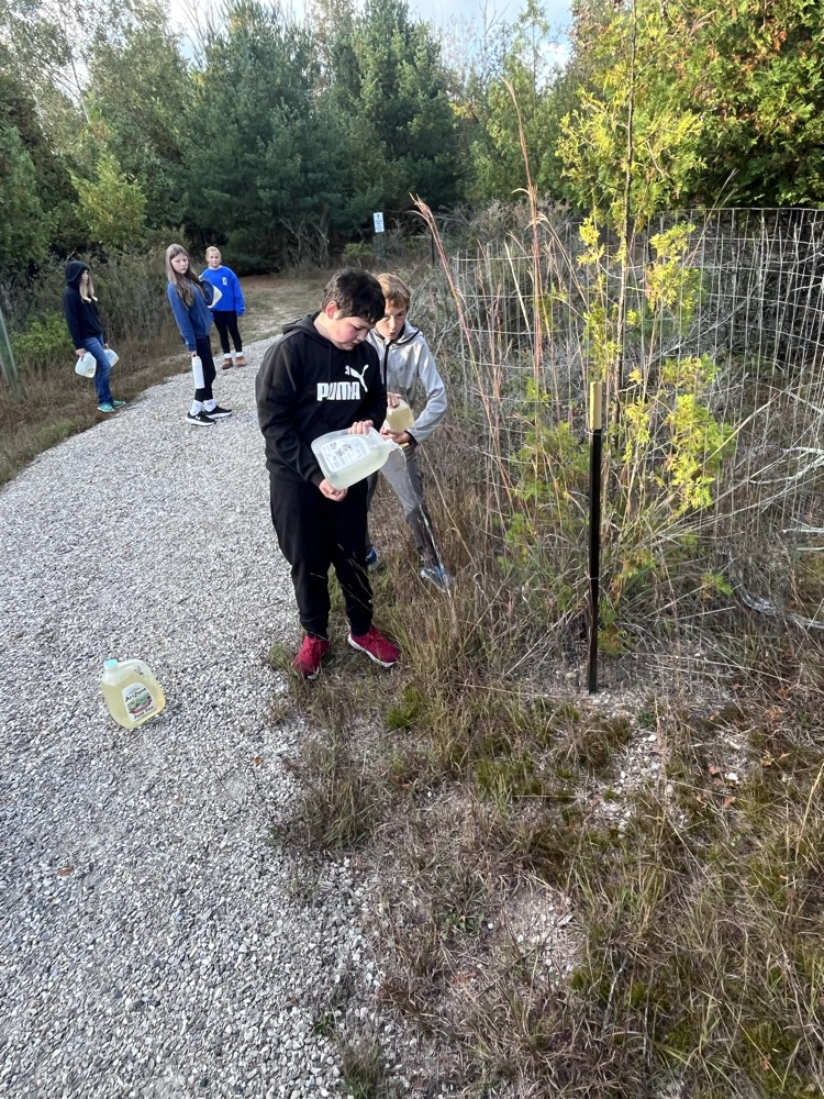 trail2