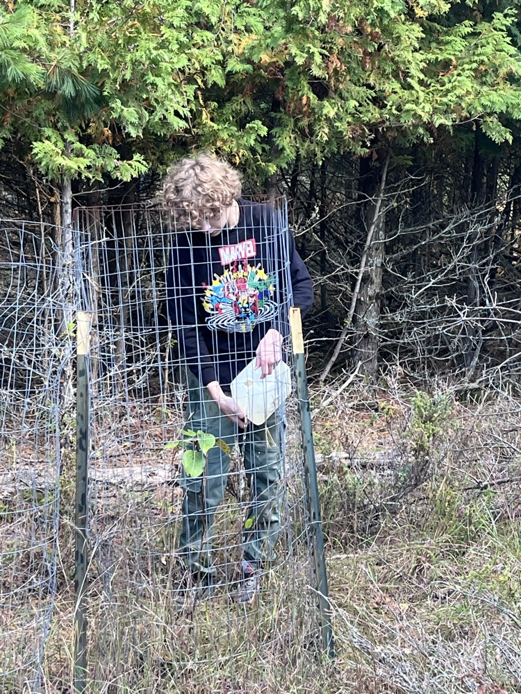 trail3