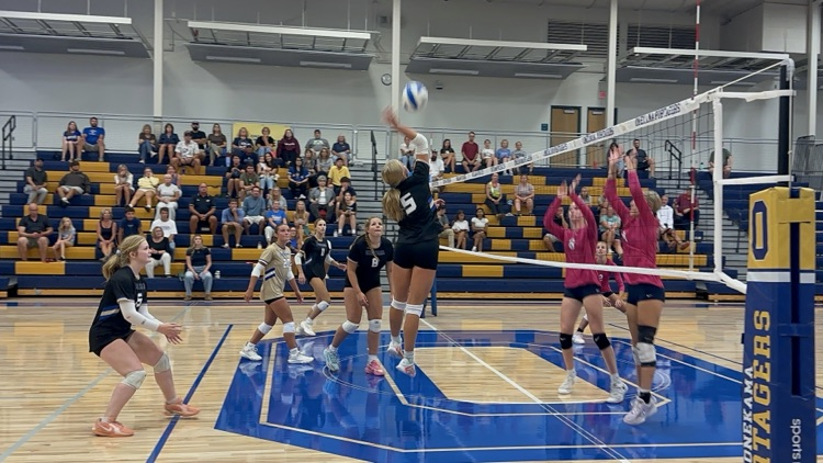 vb