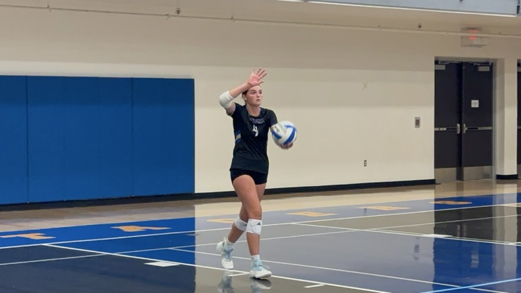 vb