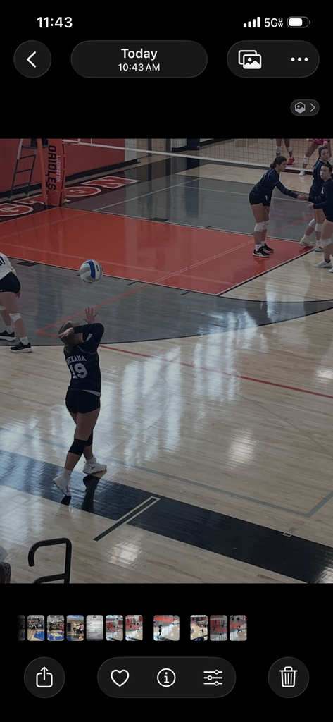 vb