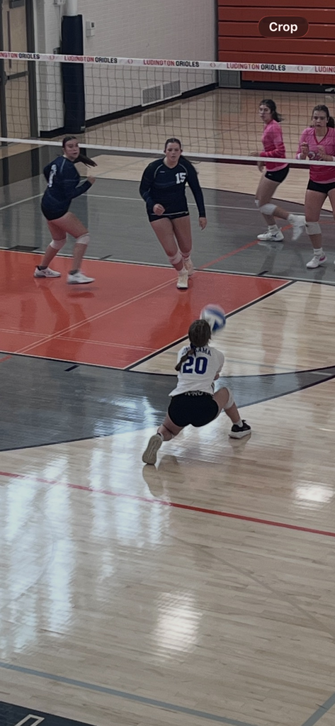 vb