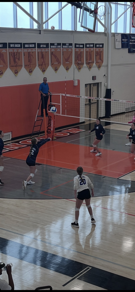 vb