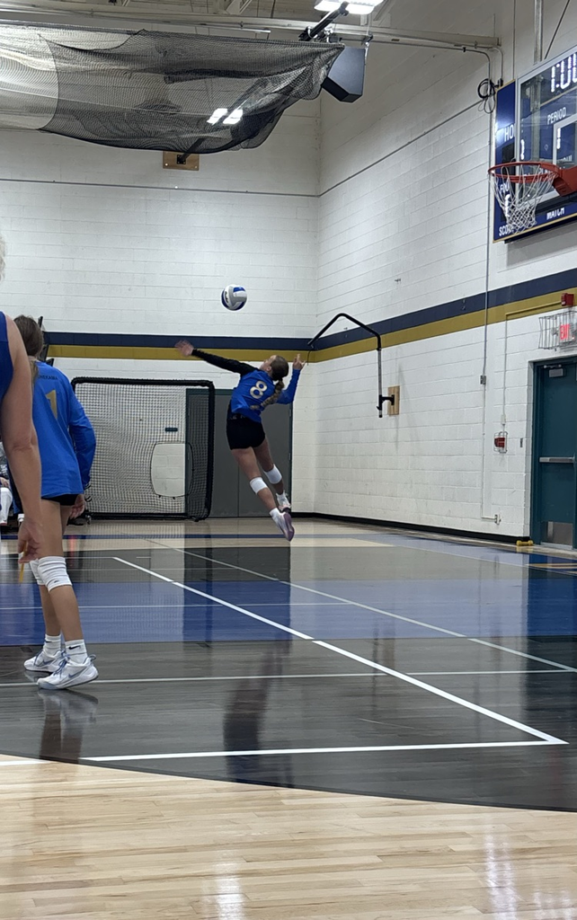 vb