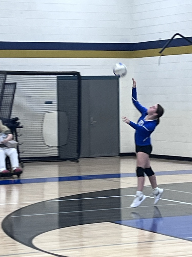 vb