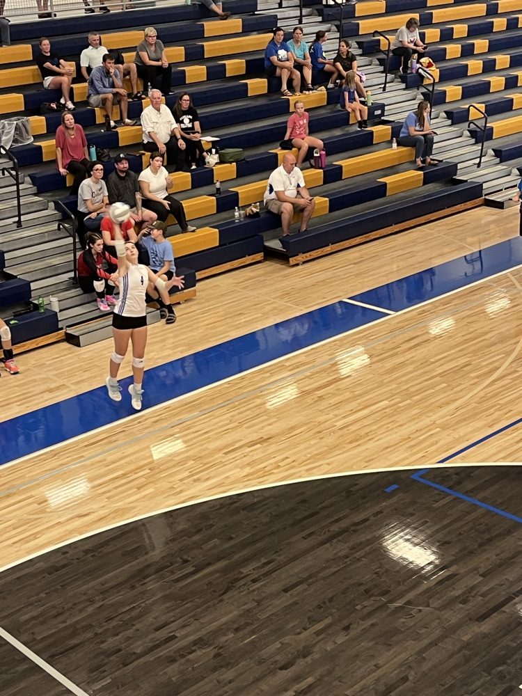 vb