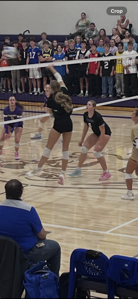 vb
