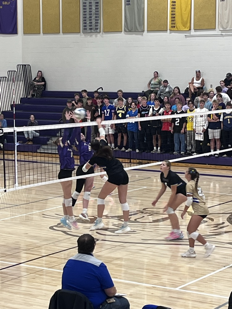vb