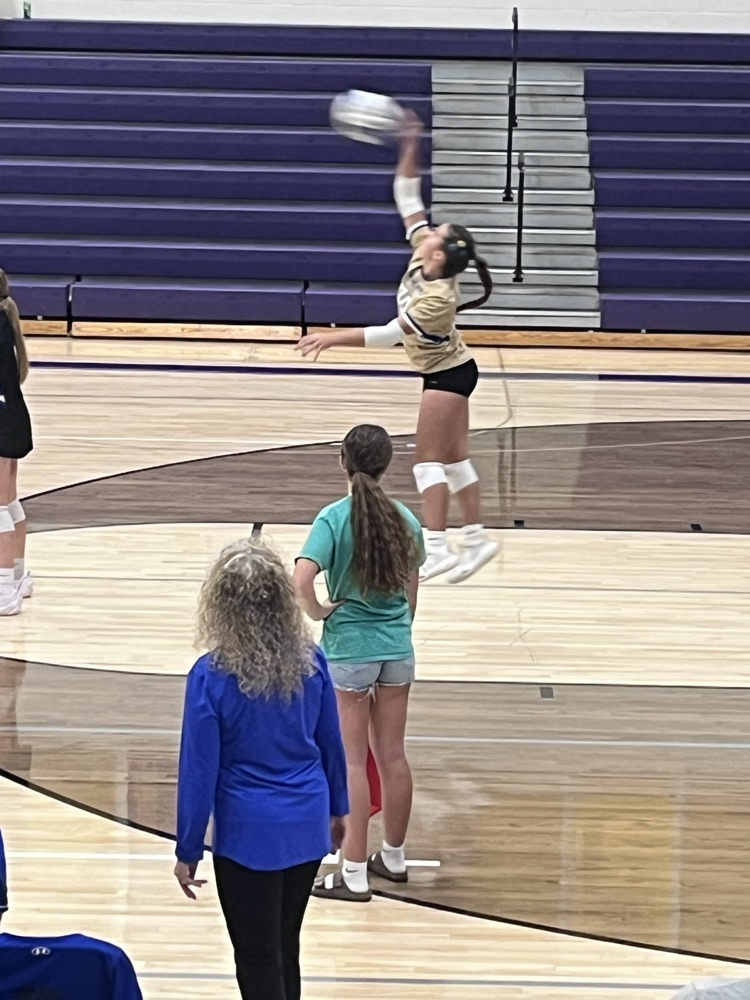 vb
