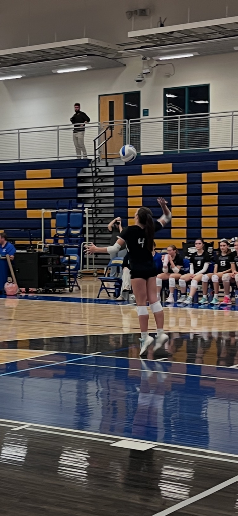 vb