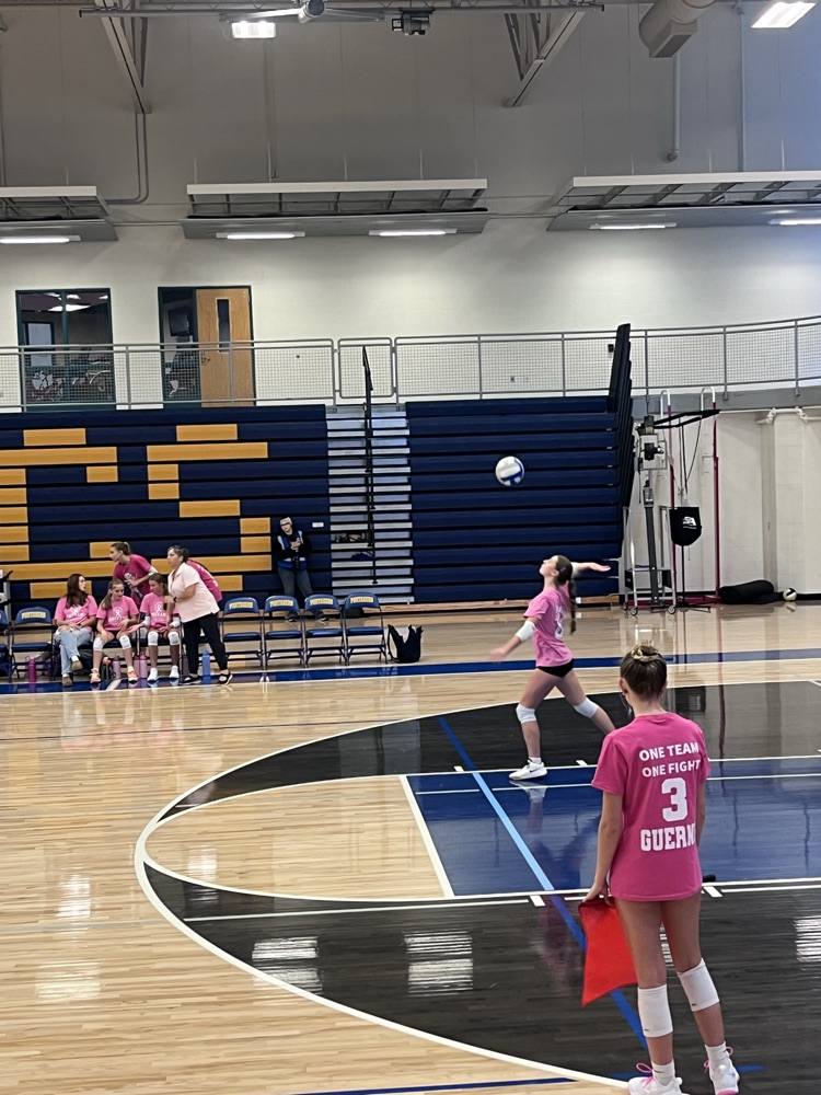 vb