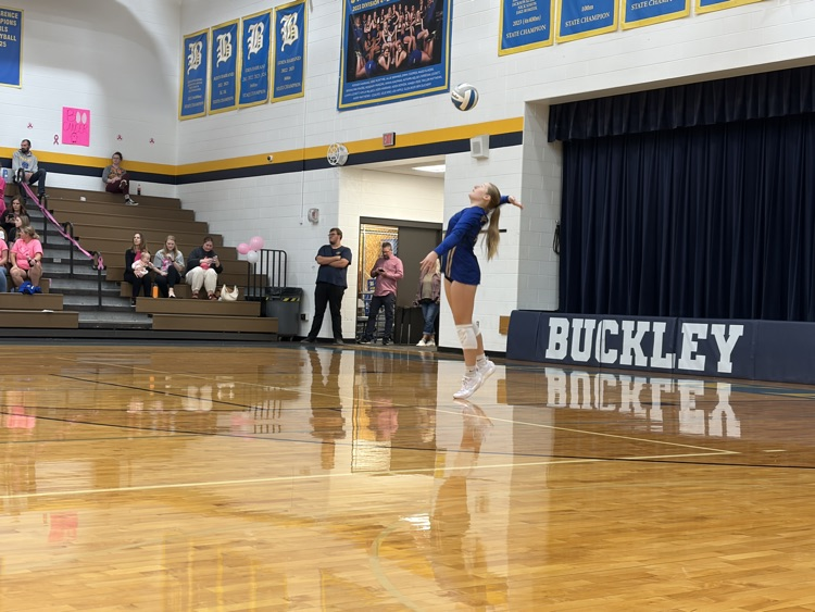 vb