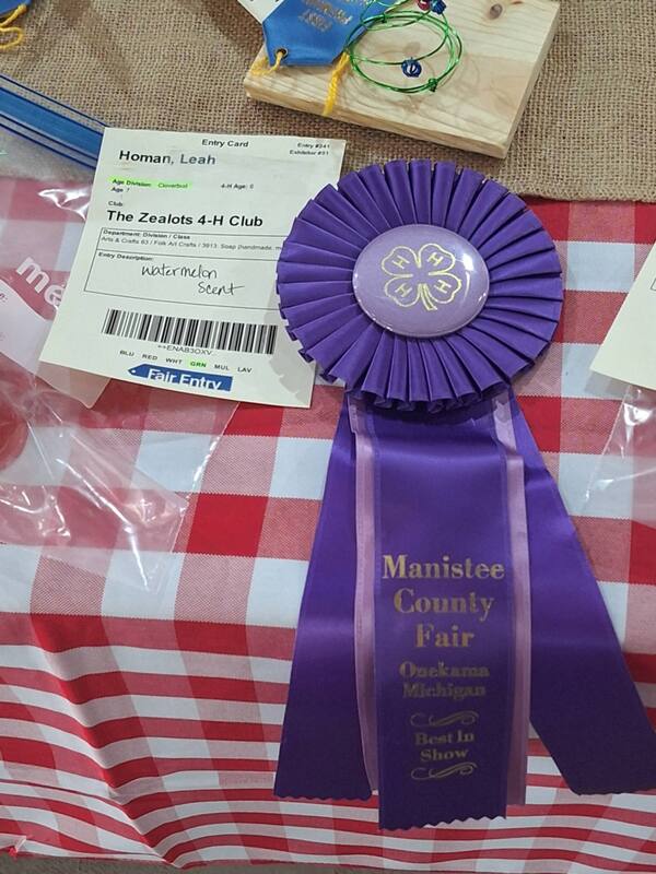 Both elementary Homan sisters took home awards at this year's Manistee County Fair 4-H competition!