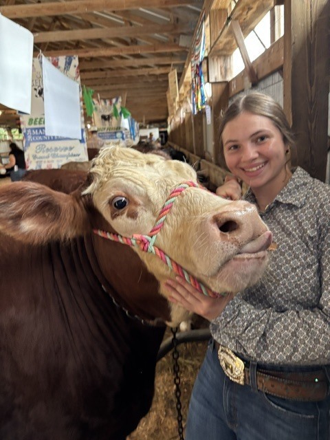 Junior Ellie Edmondson poses with a 4-H cow.
