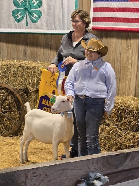 Fifth grader Bella Homan at the 2026 Manistee County Fair 4-H competition