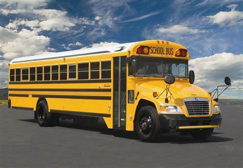 bus