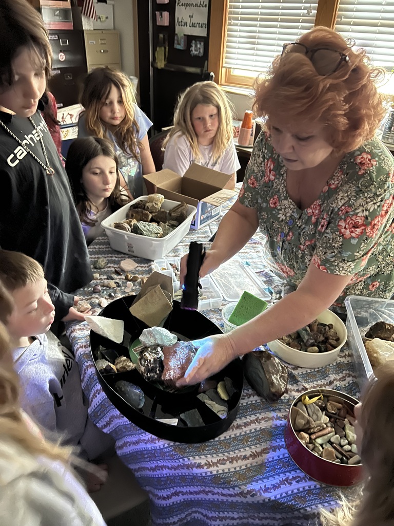 Intermediate students exploring Vivian's rock collection