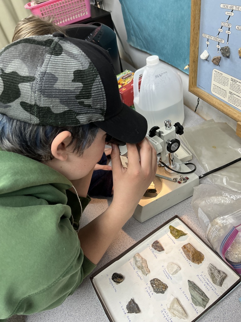 Intermediate students exploring Vivian's rock collection