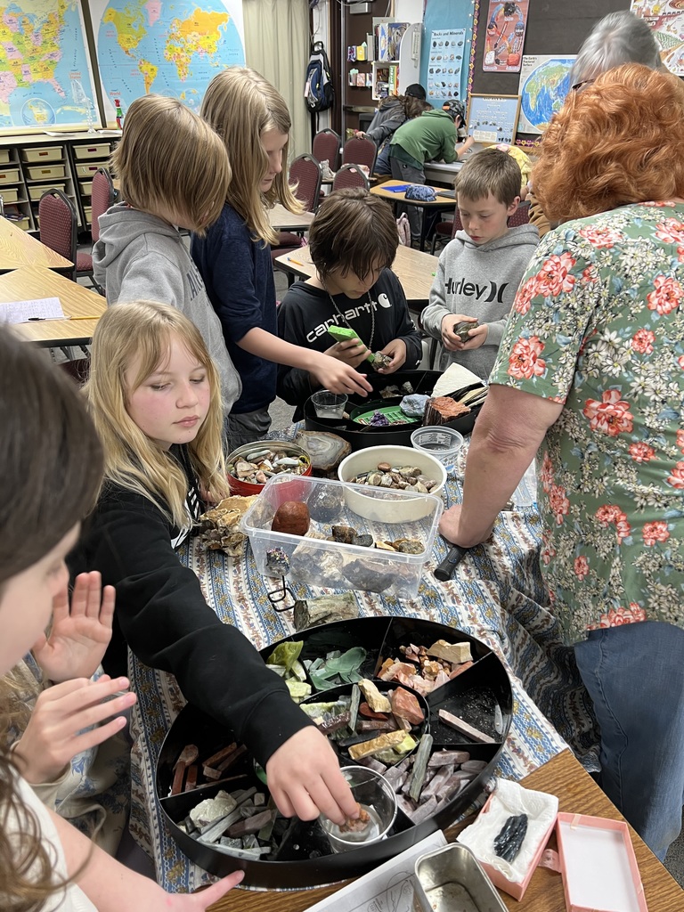 Intermediate students exploring Vivian's rock collection