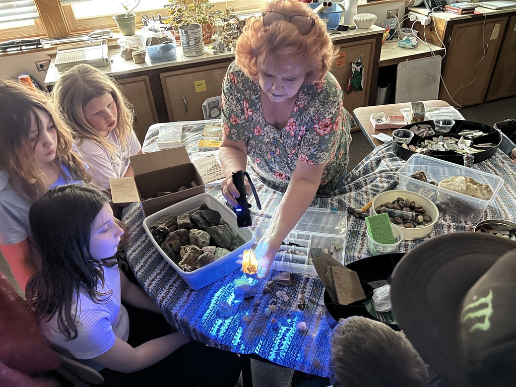 Intermediate students exploring Vivian's rock collection