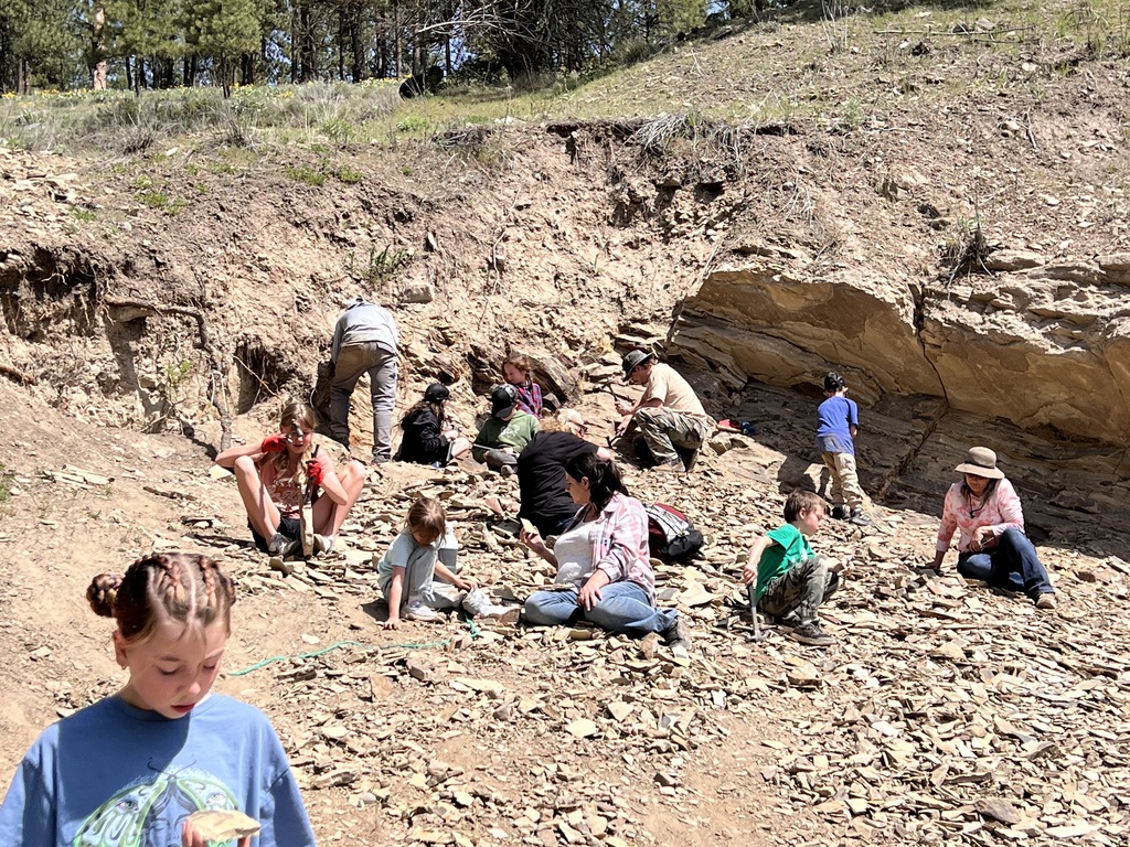 You can see more layers from the Eocene rock bed at the top