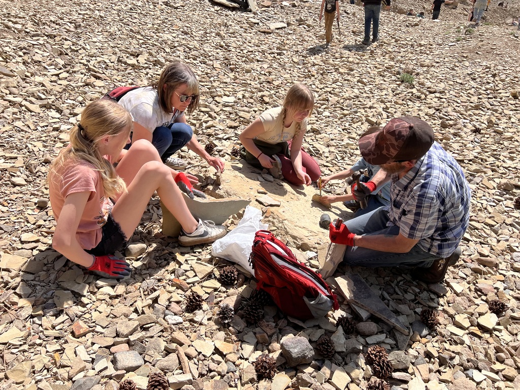 Splitting rocks is always more fun with friends!