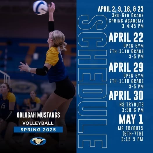 Vollyeball
