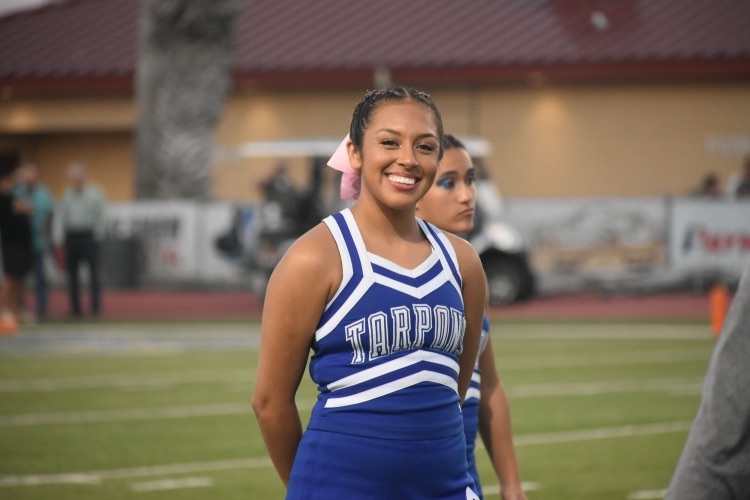 pi cheer 