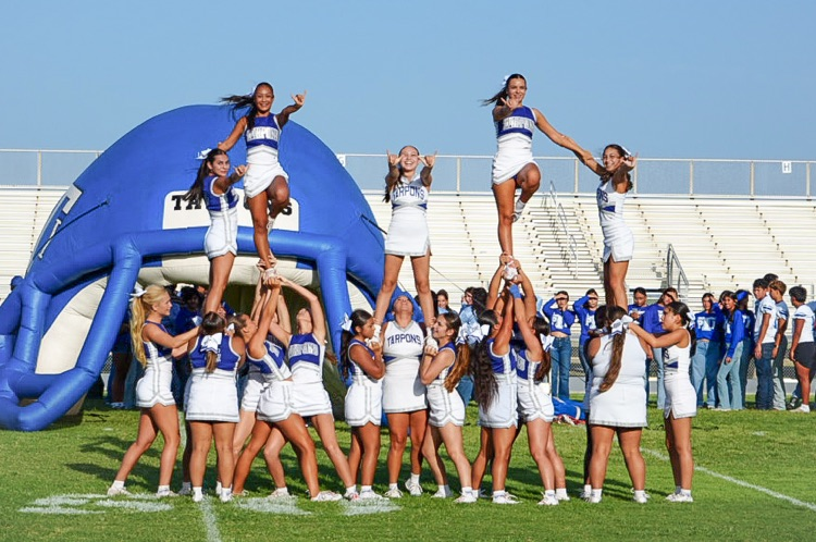 meet the tarpons