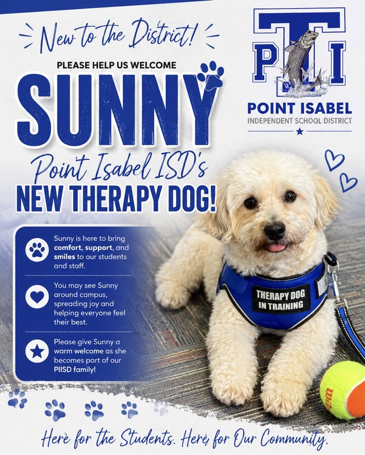 sunny the therapy dog