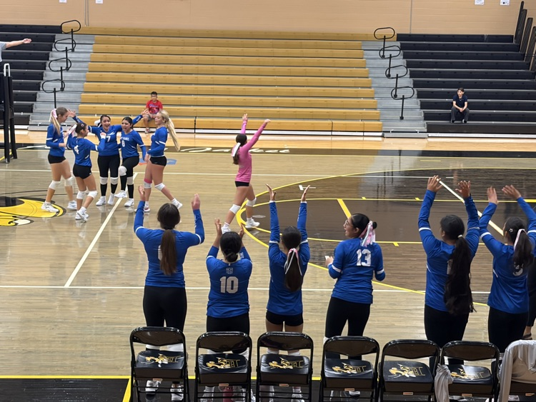 vb
