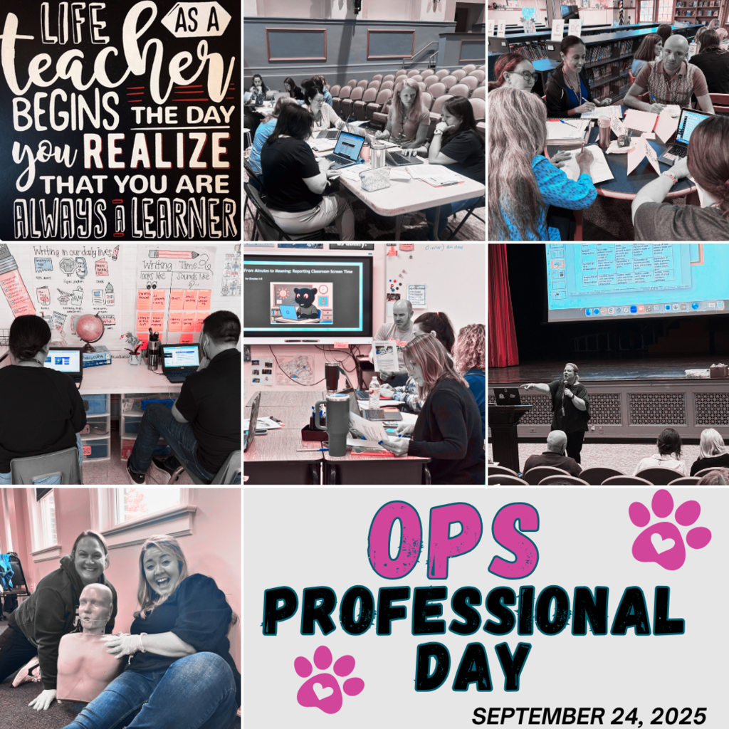 Photos of Professional Day