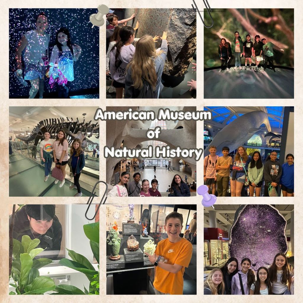 Students at the Museum of Natural History
