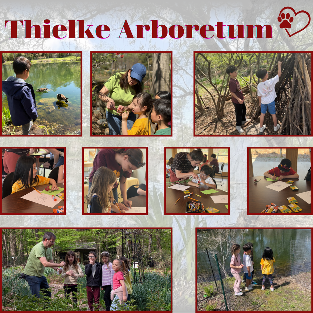 Photos of students on a first grade field trip outdoors