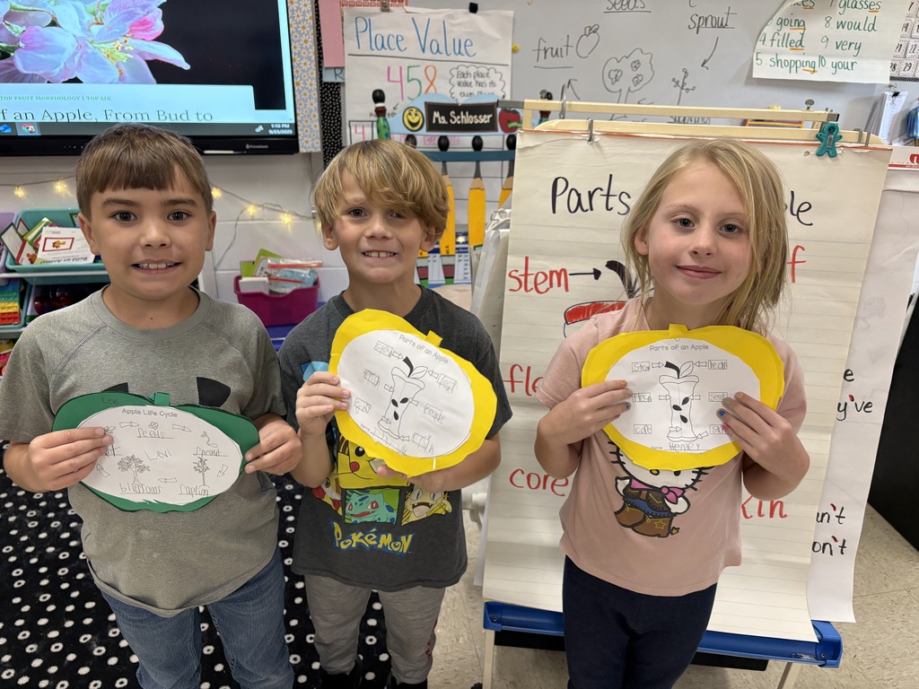 Our 2nd grade scientists are exploring apples from the inside out 🍎 Learning all about the parts of an apple and its life cycle!
