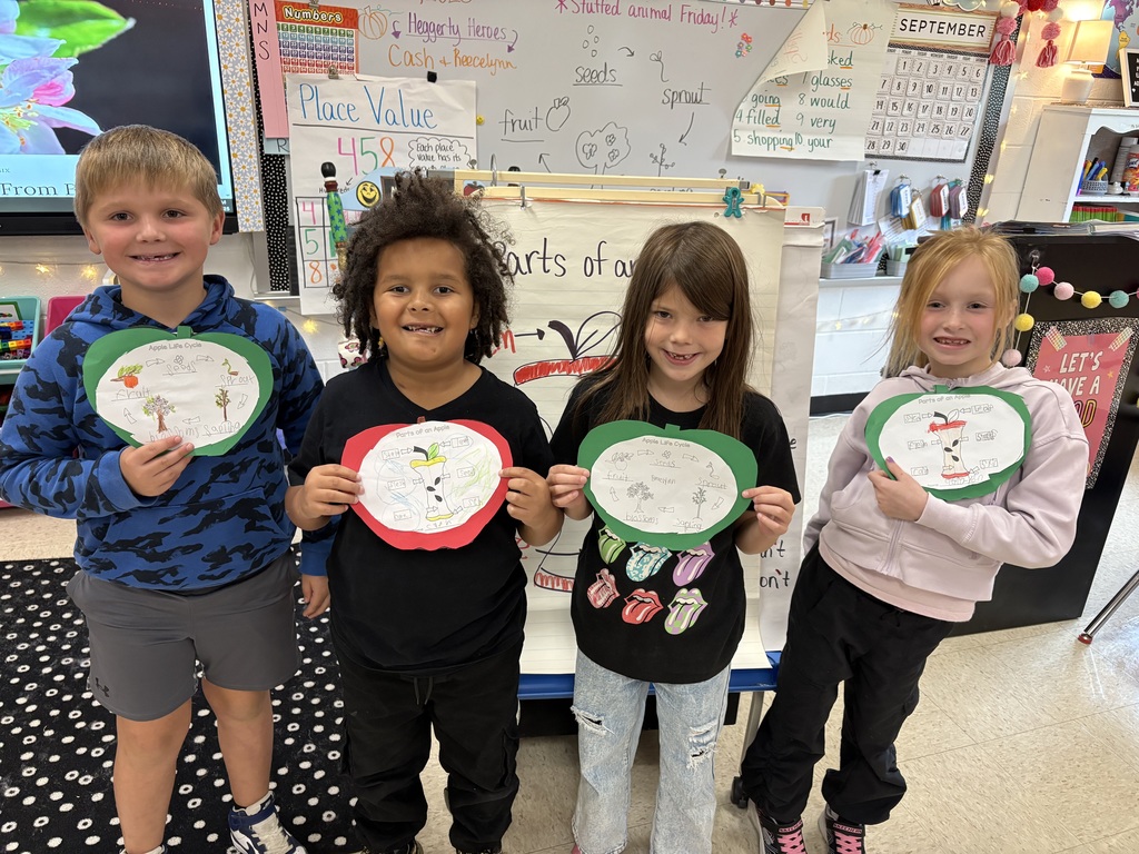 Our 2nd grade scientists are exploring apples from the inside out 🍎 Learning all about the parts of an apple and its life cycle!