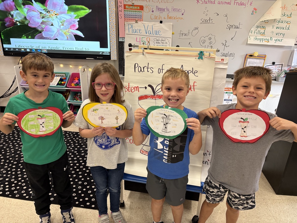Our 2nd grade scientists are exploring apples from the inside out 🍎 Learning all about the parts of an apple and its life cycle!