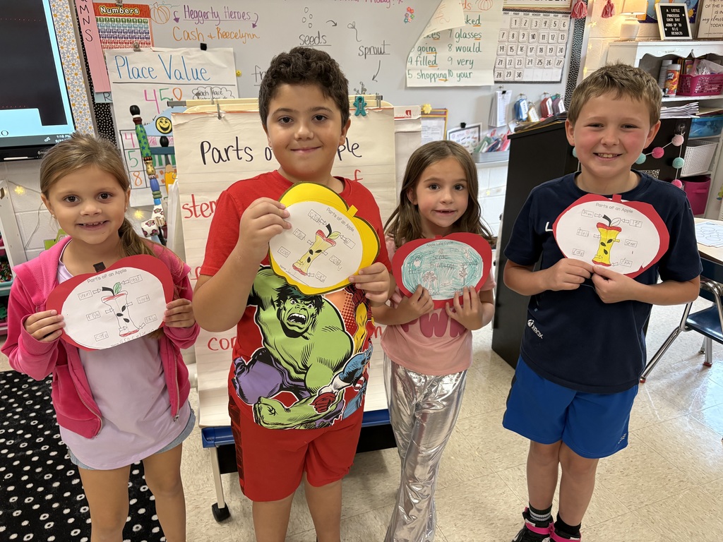 Our 2nd grade scientists are exploring apples from the inside out 🍎 Learning all about the parts of an apple and its life cycle!
