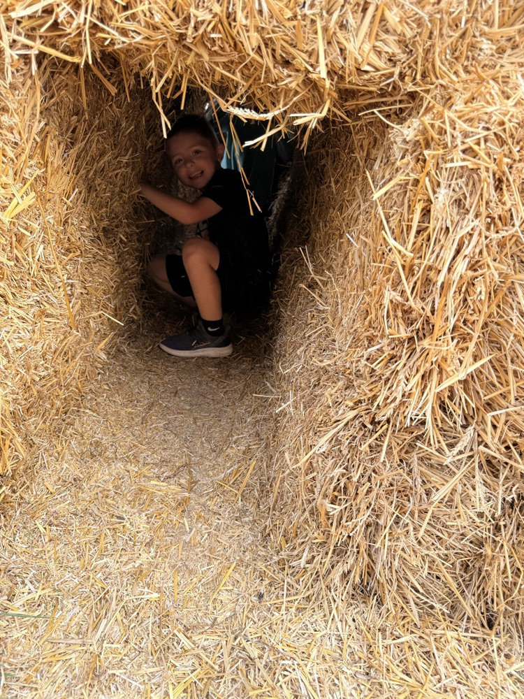 students enjoying the Perryville Pumpkin Farm
